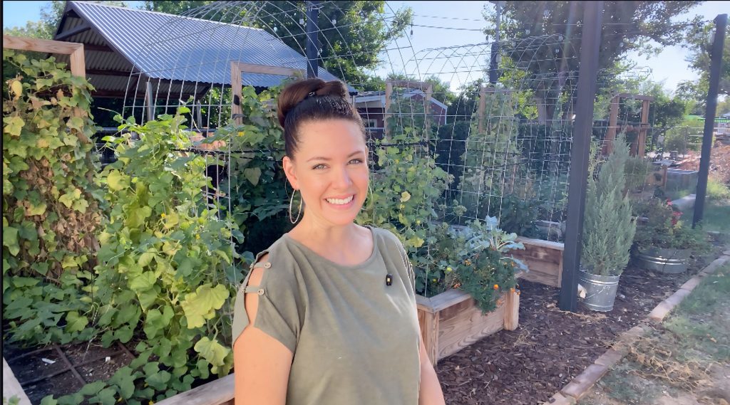 Beat Garden Pests This Summer With This Cheat Sheet