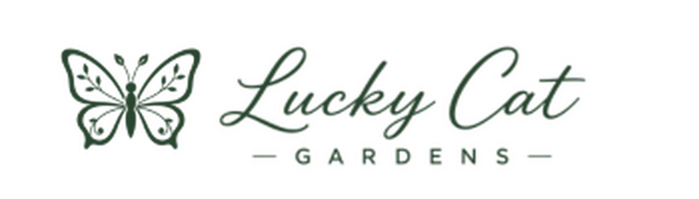 Lucky Cat Creations